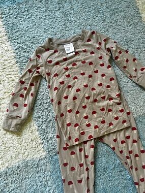 2t pajama bundle 4 sets- Hanna Andersson Kyte Burts Bees
